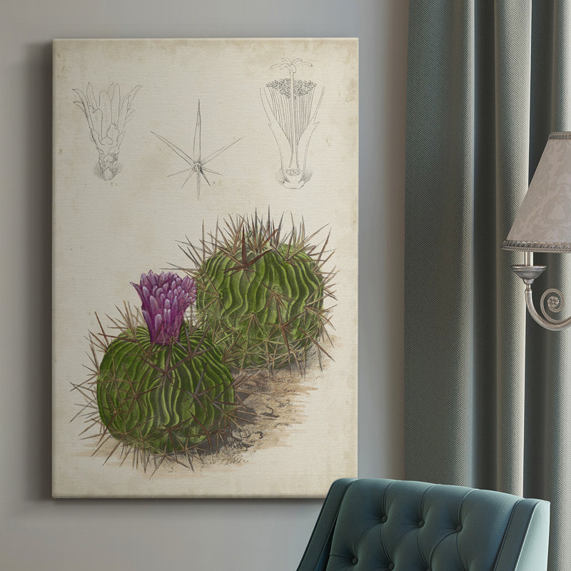 Cactus antique II - peinture sur toile tendue, H 36 po x l 24 po x P 1 po