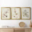 Pl. «194 Canadian Titmouse», ensemble de 3 reproductions d'art sur toile encadrées-1877724115-1877724124