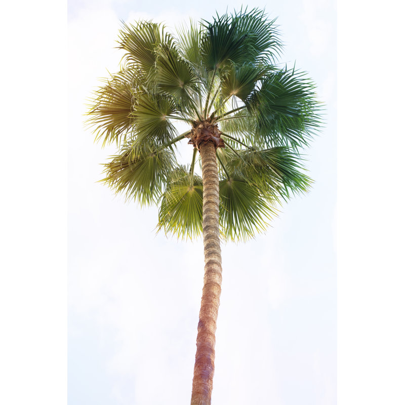 «Palmetto I» par Ryan Hartson-Weddle - peinture sur toile tendue, H 12 po x l 8 po
