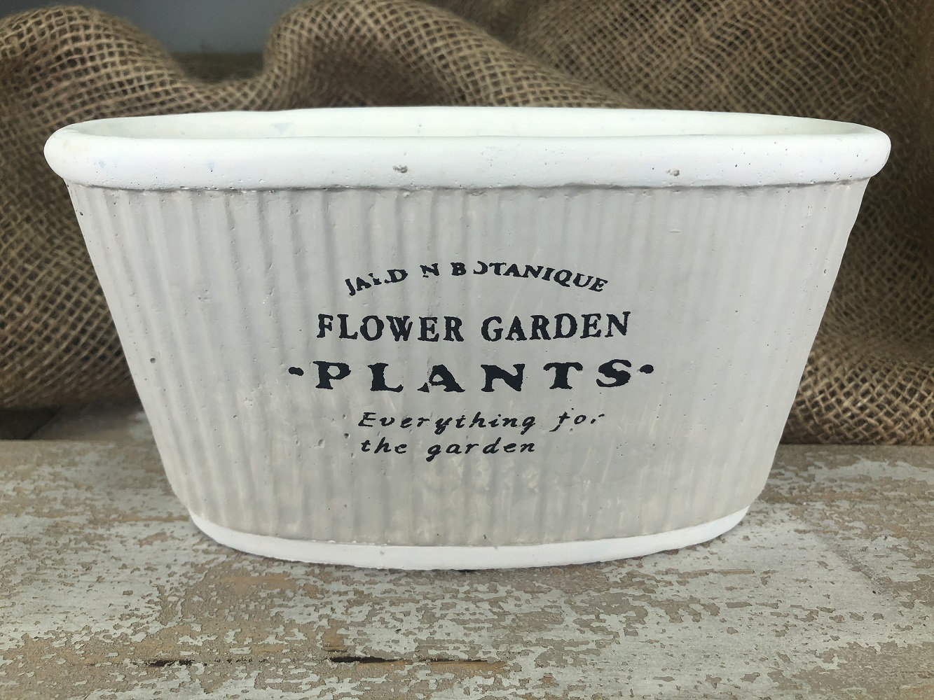 Rosalind Wheeler Botanical Garden Peach and Clove Scented Jar Candle