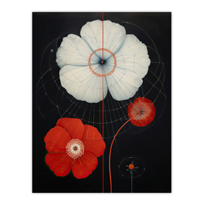 Wall Art Print Poppy On Black Striking Wildflowers Petals Floral Painting Poster