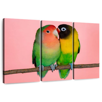 Hardie Smooching Lovebirds