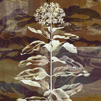 Prairie Mix VI