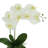 Polysilk Orchid Arrangement in Vase