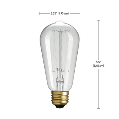 Ampoule à intensité variable, incandescente ST19, 60 watts (ou équivalant à 60 watts), blanc chaud (2 200 K), culot moyen (standard) / E26