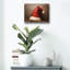 «Santa Hat» par Petals Prints Design-47370599