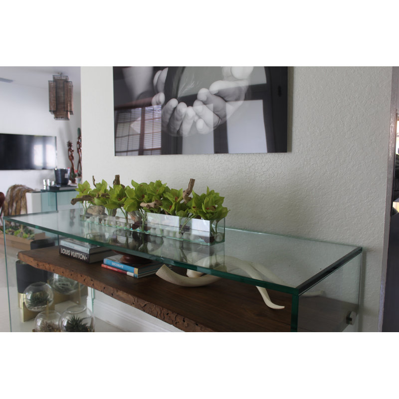 Driftwood Cymbidium Orchids Centerpiece in Glass Planter, 8" H x 48" W x 6" D, Green