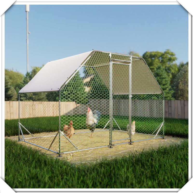 Grande cage imperméable en métal pour poulailler, H 76,32 po x l 119,28 po x P 77,52 po