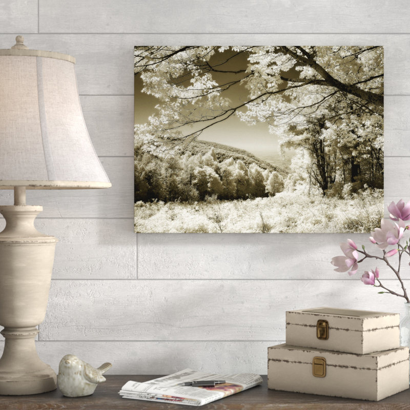 « swift run gap ii », reproduction de photo sur toile tendue