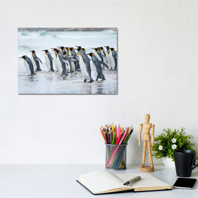 King Penguin, Falkland Islands. by Martin Zwick - Wrapped Canvas Gallery-Wrapped Canvas Giclée