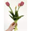 5 vraies tulipes artificielles-1088954040
