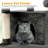 Sechovicz 67'' H Cat Tree-809250861