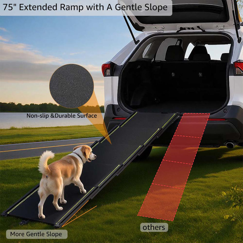 Collapsible Stairs