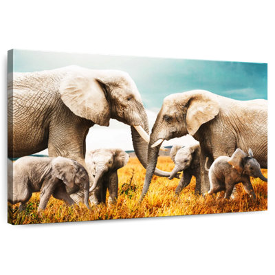 Famille d'éléphants Brampt Safari