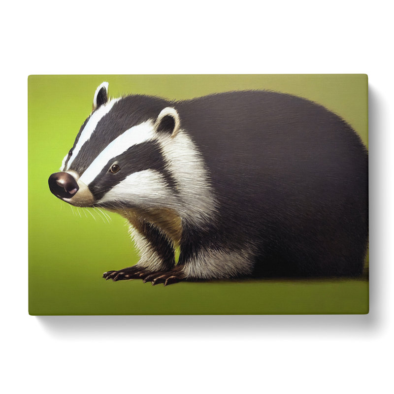Cute Badger - Wrapped Canvas Print, 40cm H x 60cm W x 3cm D