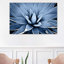 Indigo Succulent III by Mia Jensen - Wrapped Canvas Print-1004464196