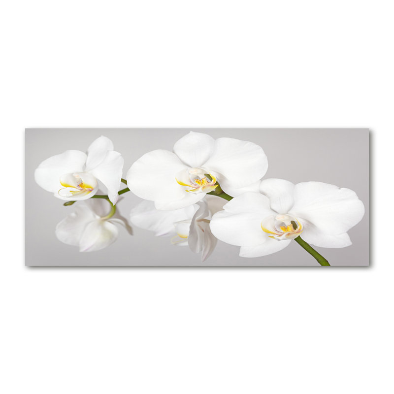 Orchid 1 Piece Wrapped Canvas Wall Art