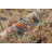 Aghalislone Rockett Traditional Medallion Area Rug-583471688