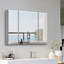 Armoire à pharmacie en aluminium avec tablettes réglables en verre
