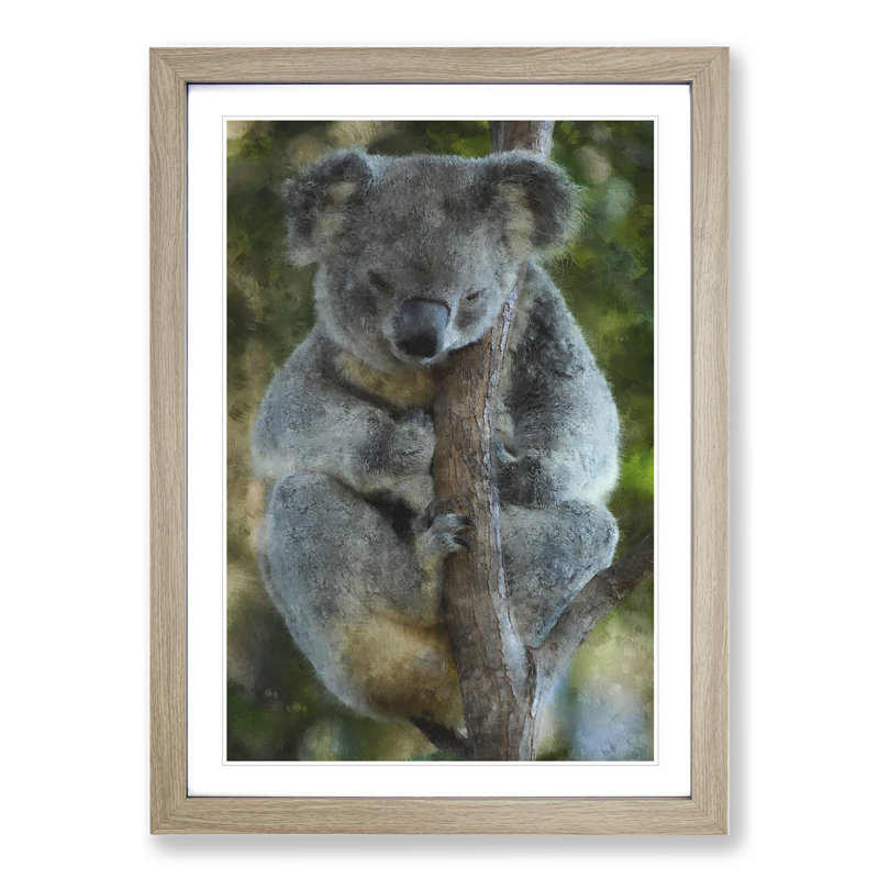 Koala Bear Vol.1 - Framed Print, 65cm H x 48cm W x 2cm D, Oak Framed