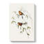 Masked Grass Finch by Elizabeth Gould - Wrapped Canvas-55362521