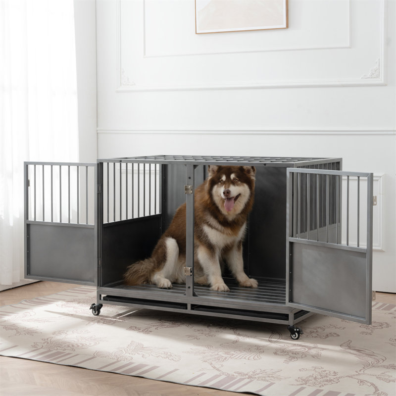 Cage pour chien Fredric