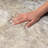 Premium Machine Washable Dream Shag ADS80 Abstract Chevron Rug-93212412-93212413