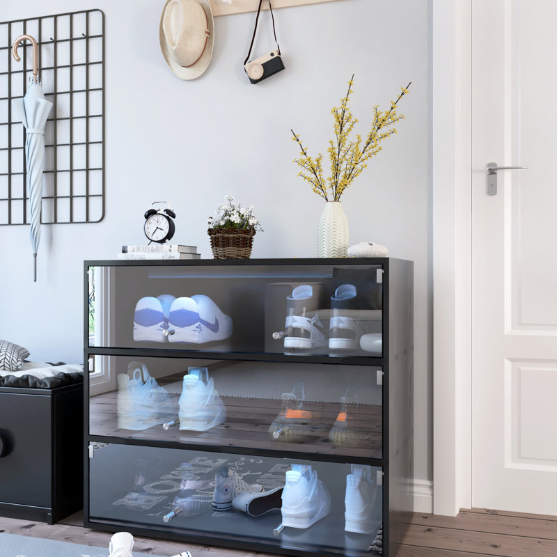 Porte-chaussures de porte en verre noir avec contenant à DEL, pratique et décoratif