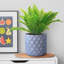 Donahue Diamond Style Grey Cylinder Planter, Round Indoor Plant Pot Also Can Be Used as Hanging Planter-819621052