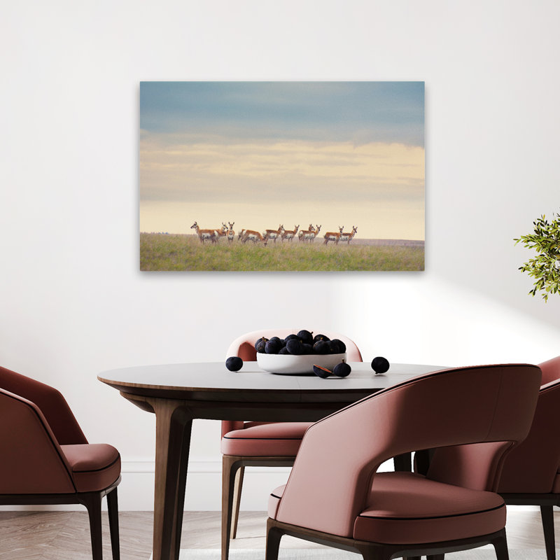 La force en chiffres - Photographie, animaux, nature, art animalier, H 24 po x l 36 po