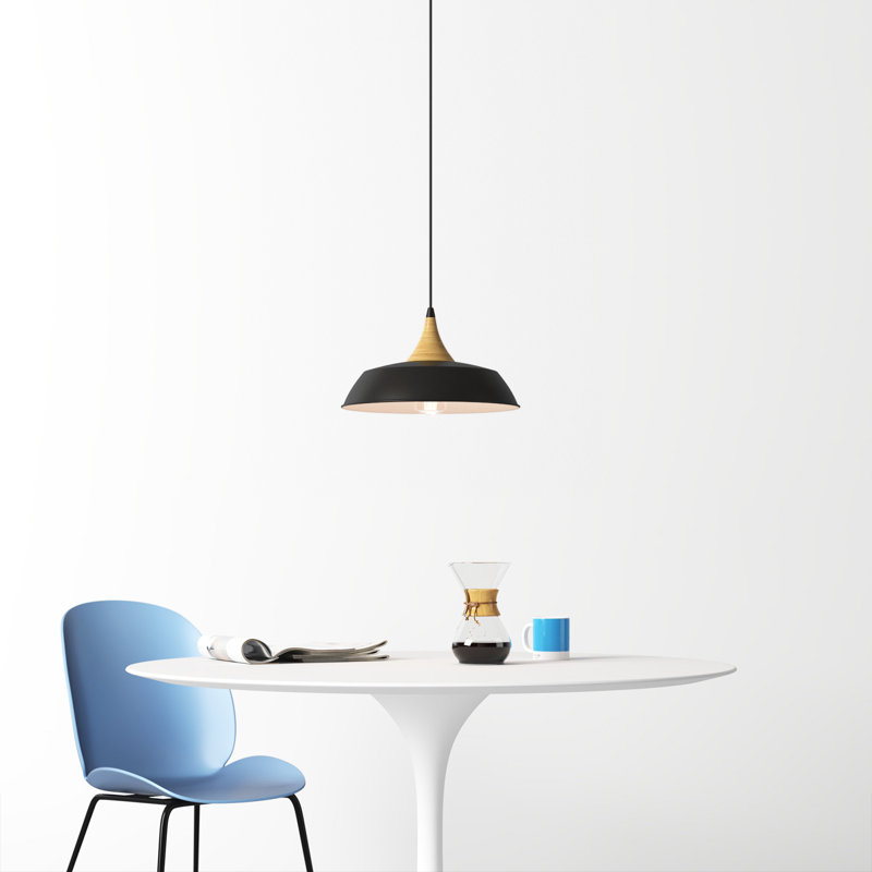 Elisabet 1 - Light Dome Pendant, Black