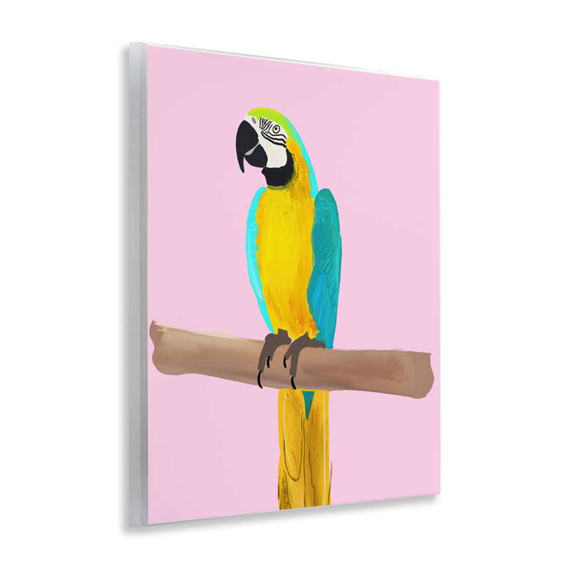 «Bright perroquet sur rose» par Ashley Singleton
