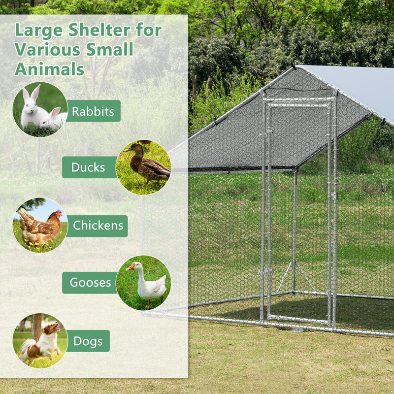 Asine 6m² Chicken Coop