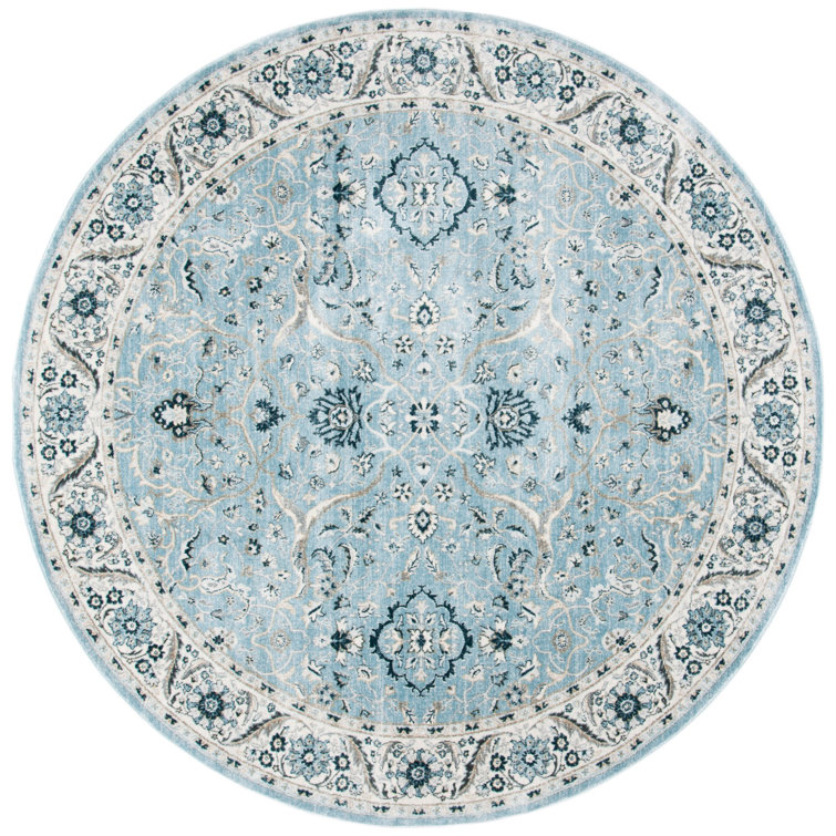 Delmer Performance Oriental Rug