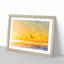 Seagull Flying over the Beach - Framed Print-56705229-56705231
