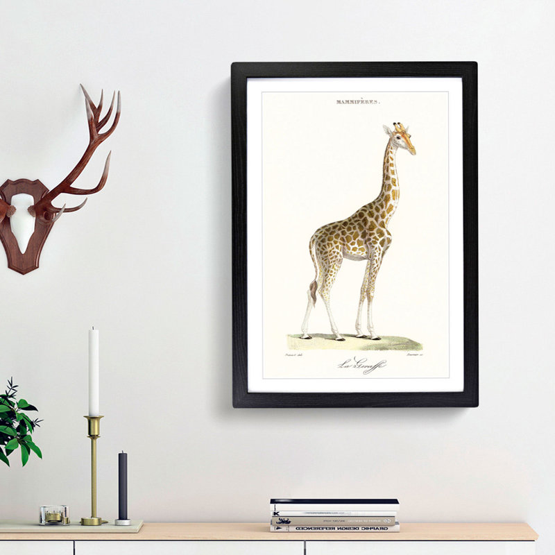 Giraffe by Florent Prevos - Picture Frame Painting Print, 36cm H x 27cm W x 2cm D, Black Framed