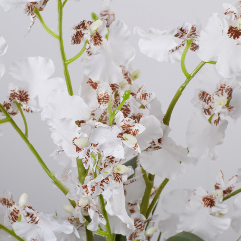 Arrangement floral dans une vase, Blanc