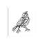 Chin Up - Cute Little Bird Jackson Pollock Style Drawing by OLena Art - Print on Canvas-63929835-63929834