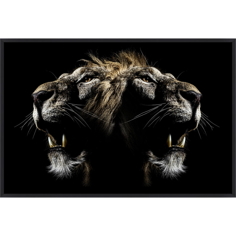 King Safari Wall Art & Signage by Mat Sanders