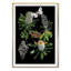 Botany Banksia Chart Print by Thicket Design-101973744