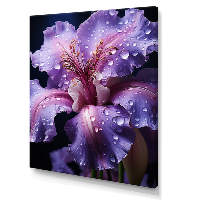 Dearran mauve majestueux iris noir I - impression, Toile tendue, H 32 po x l 16 po x P 1 po