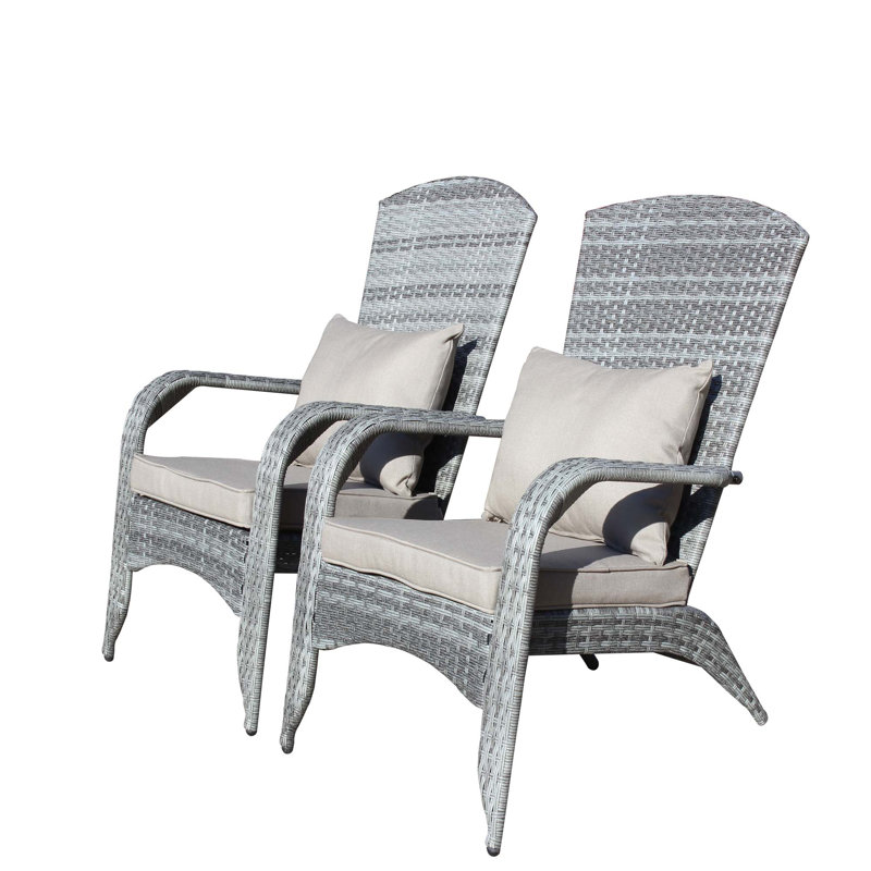 Chaise de patio avec coussins (coussin gris), Gris, Gris