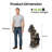 39 inch Rustic Bear Family Outdoor Fountain with LED Lights – 4-Tier Cascading Water Feature for Patio, Garden, or Cabin Décor