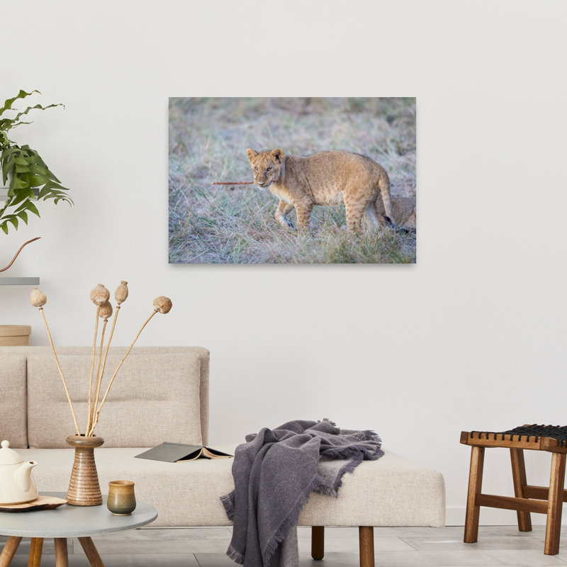 Playful Cub'S Stick Playful Contemporary Cat Lion Nature Wildlife Wall Art Print, 60.96cm H x 91.44cm W