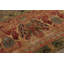 Modern Area Rug