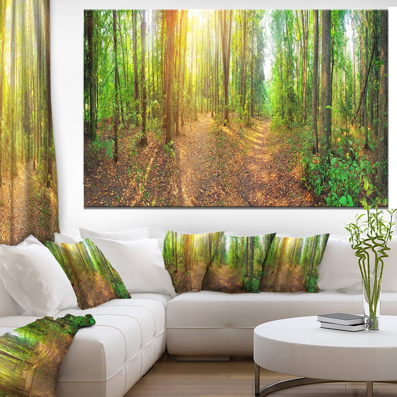 « dense forest panorama », reproduction de photo sur toile tendue, H 40 po x l 60 po x P 1,5 po