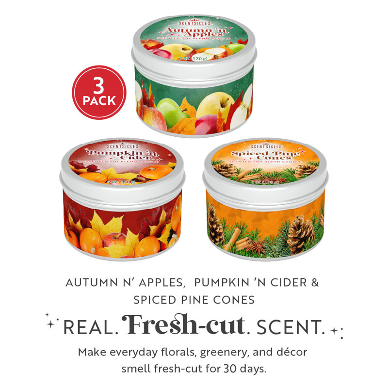 Scentsicles, Candles, 1 Apples 'N Apples / 1 Pumpkin 'N Cider / 1 Spiced Pine Cones - 3 Pack