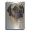 "Mastiff" par Barbara Keith-2040042920