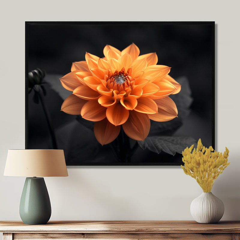 Dahlia noir et jaune en photo monochrome - art mural Dahlia, Cadre flottant noir, H 24 po x l 32 po