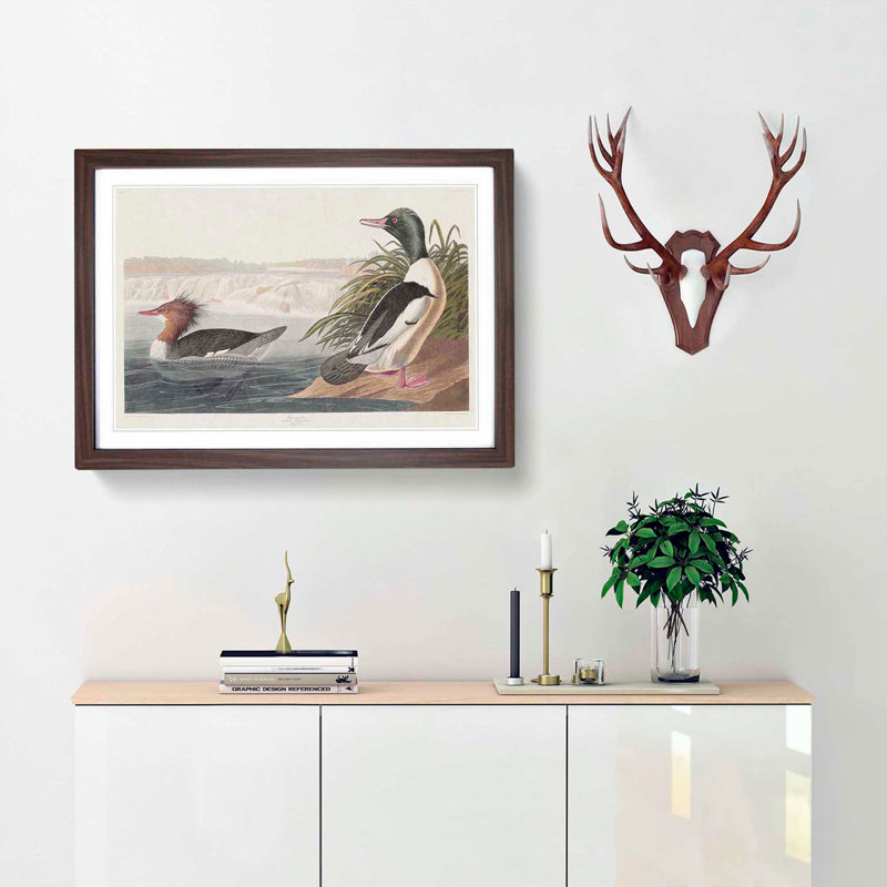 Goosander Ducks by John James Audubon - Picture Frame Art Print, Walnut Framed, 27cm H x 36cm W x 2cm D